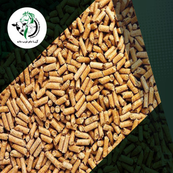 تصویر مقاله خطرات الیاف ناکافی در جیره گاوهای شیری